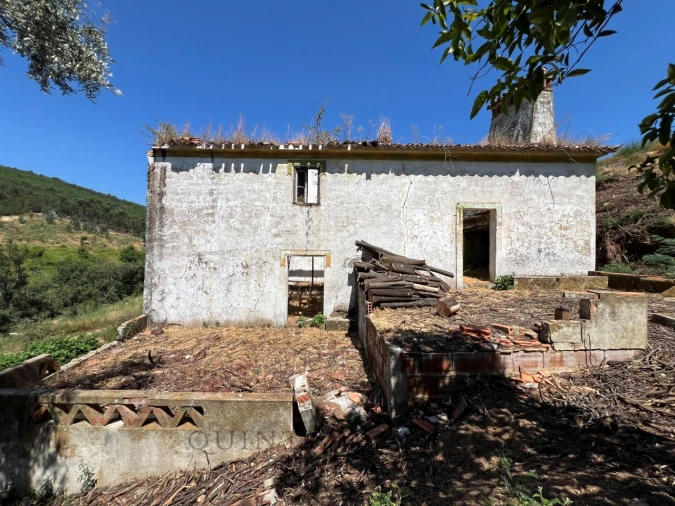 Quinta T3 para Venda em Alegrete Foto 4