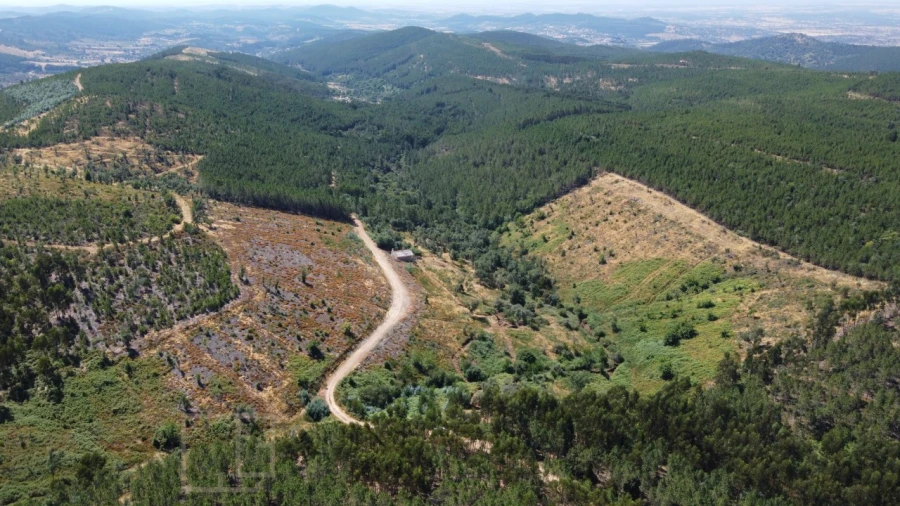 Quinta T3 para Venda em Alegrete Foto 11