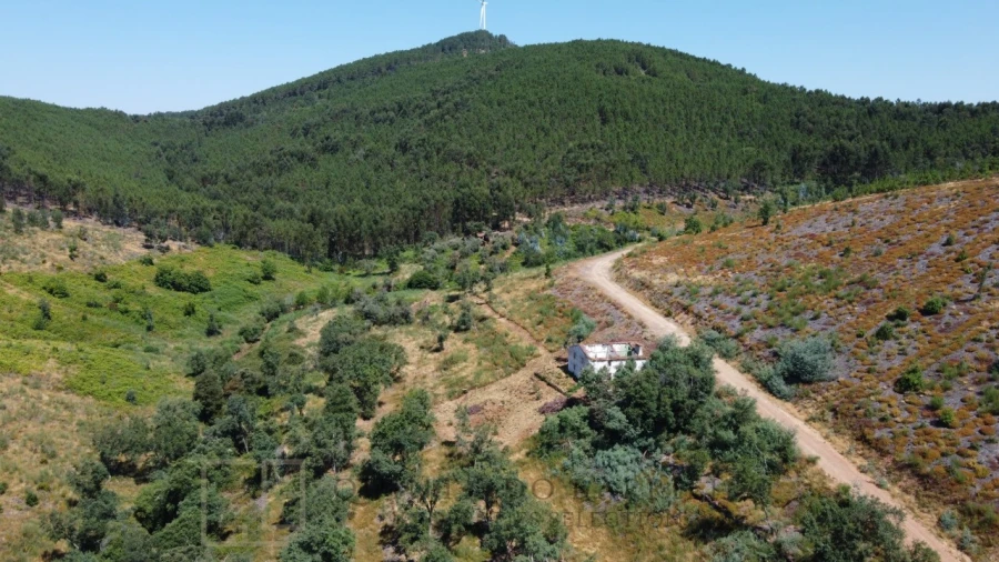 Quinta T3 para Venda em Alegrete Foto 13