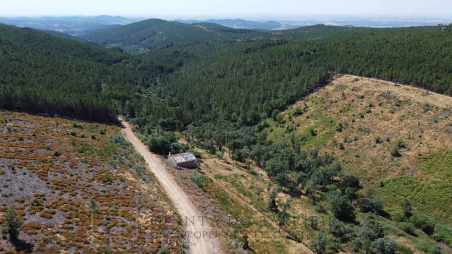 Quinta T3 para Venda em Alegrete Foto 14