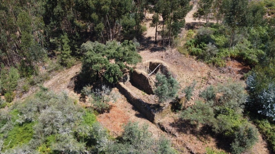 Quinta T3 para Venda em Alegrete Foto 18