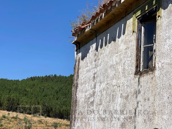 Quinta T3 para Venda em Alegrete Foto 30