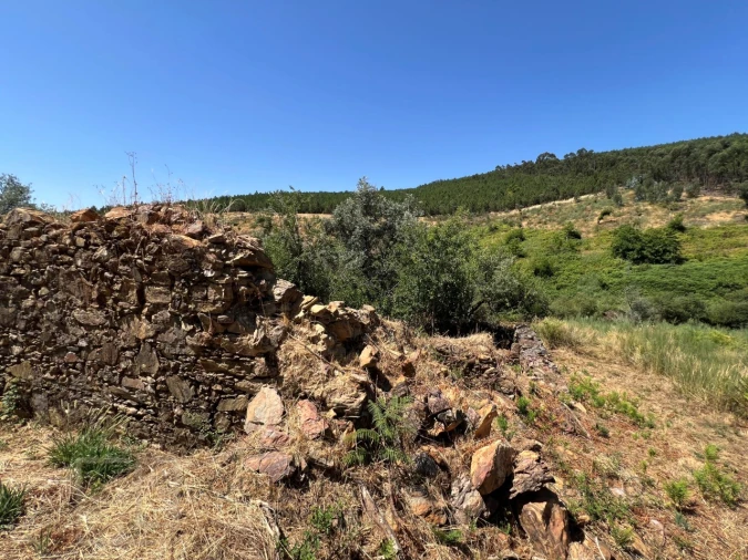 Quinta T3 para Venda em Alegrete Foto 41