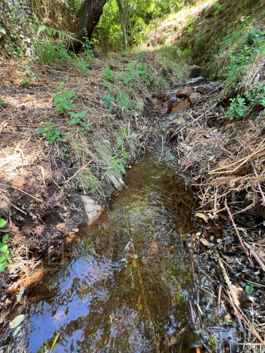 Quinta T3 para Venda em Alegrete Foto 44