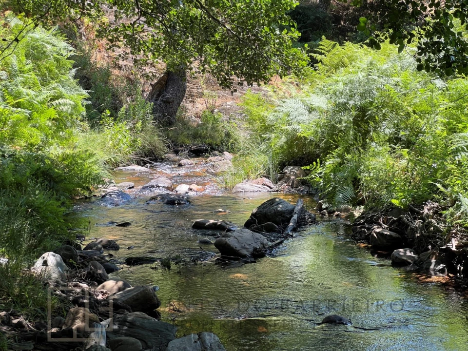 Quinta T5 para Venda em Alegrete Foto 1