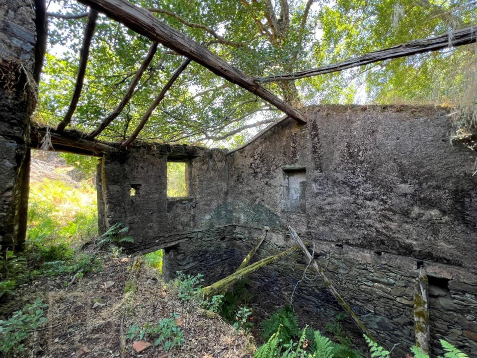 Quinta T5 para Venda em Alegrete Foto 4