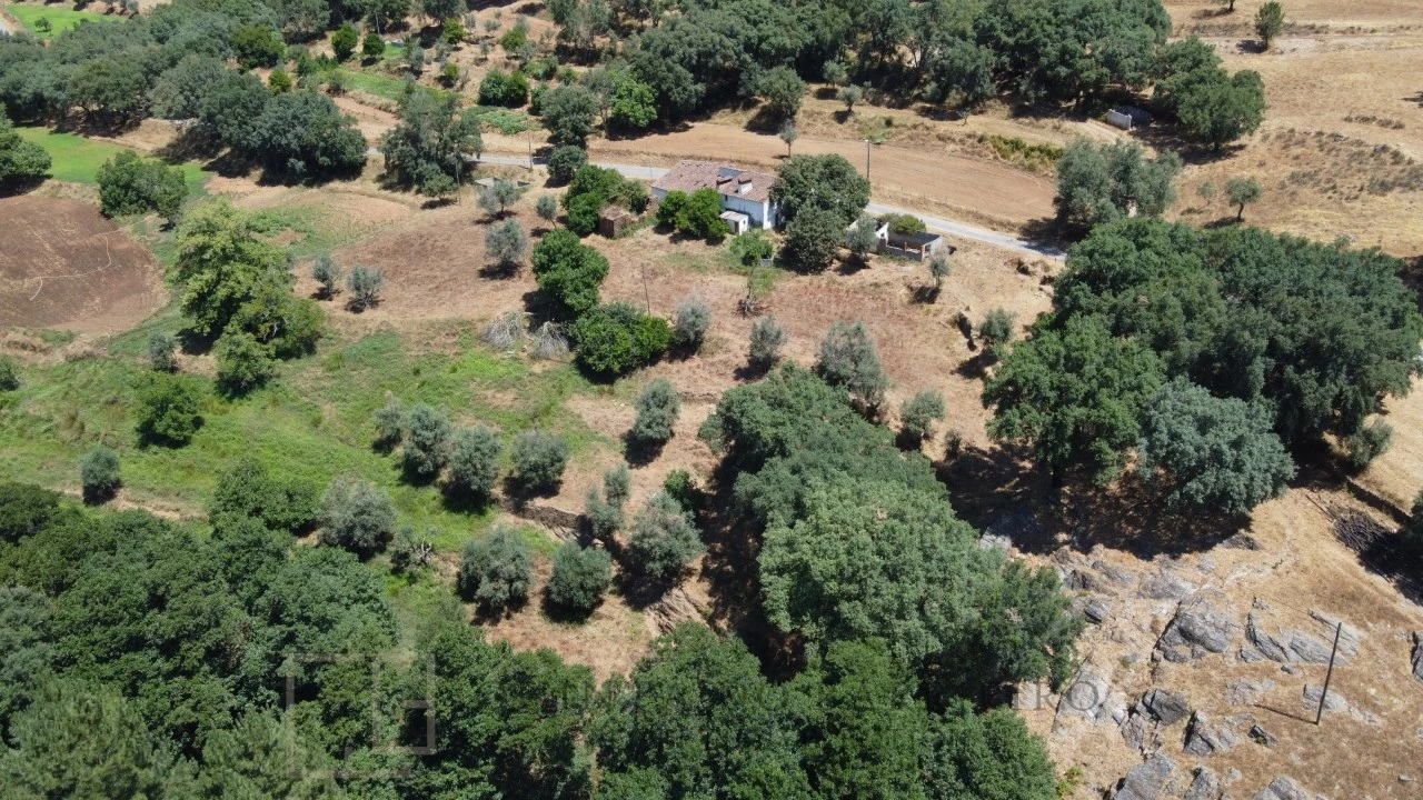 Quinta T5 para Venda em Alegrete Foto 7