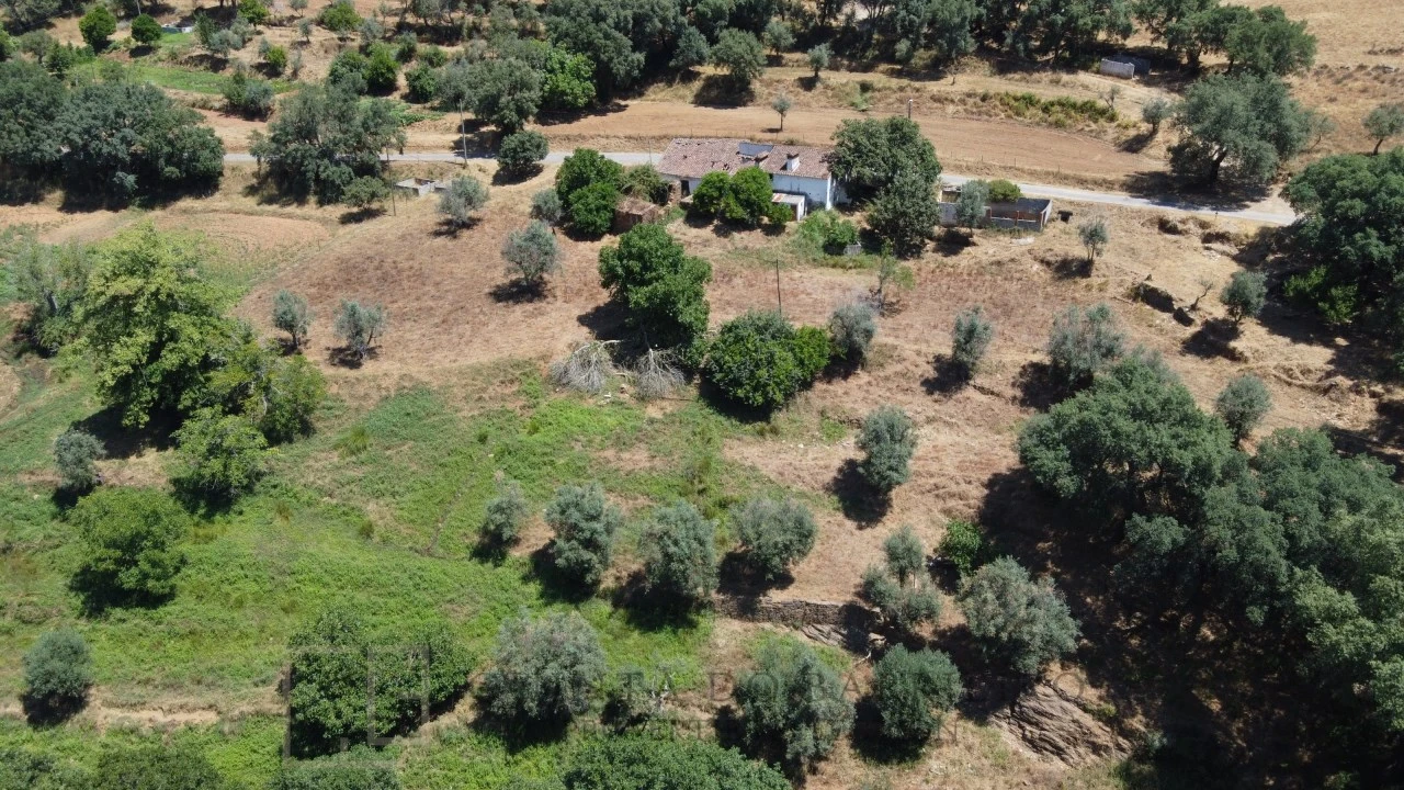 Quinta T5 para Venda em Alegrete Foto 8