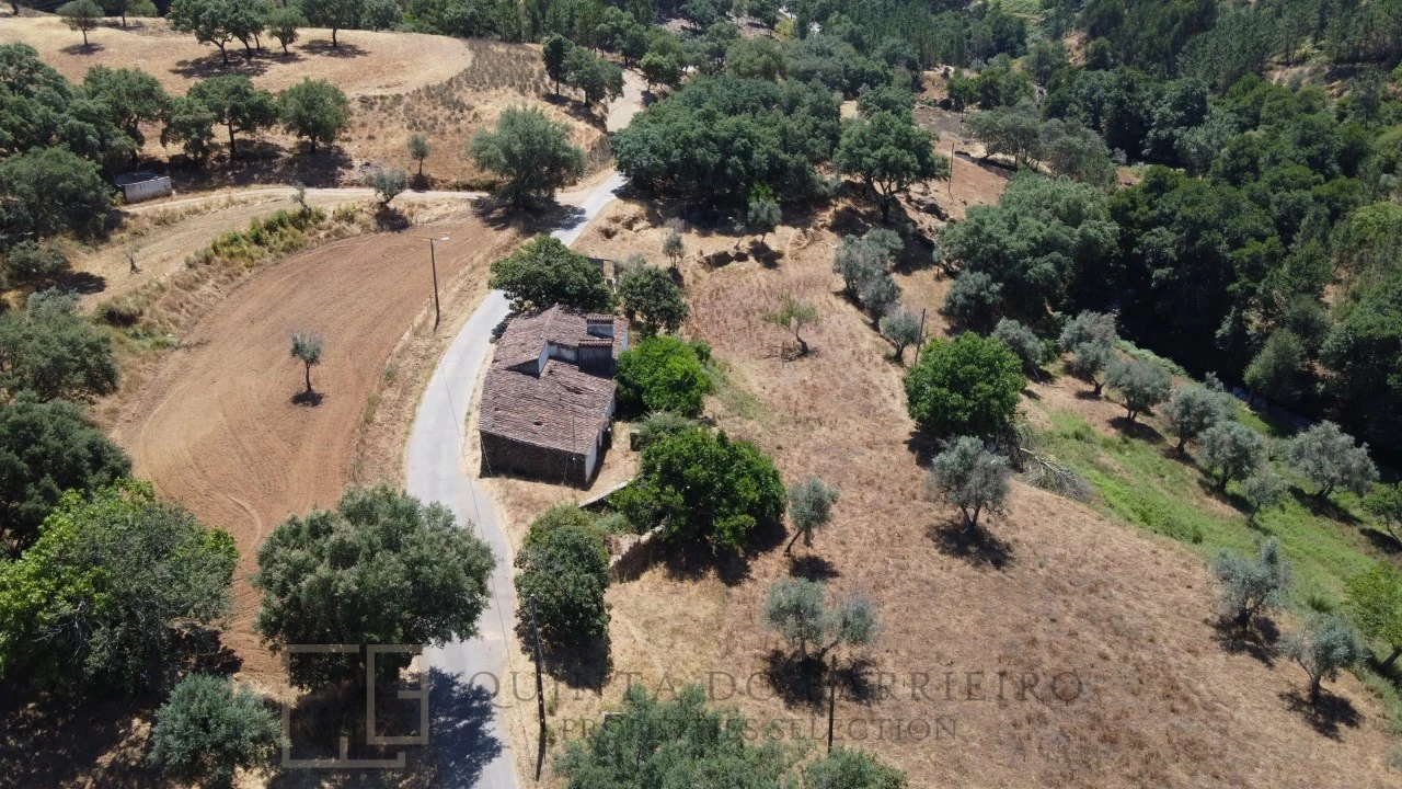 Quinta T5 para Venda em Alegrete Foto 11