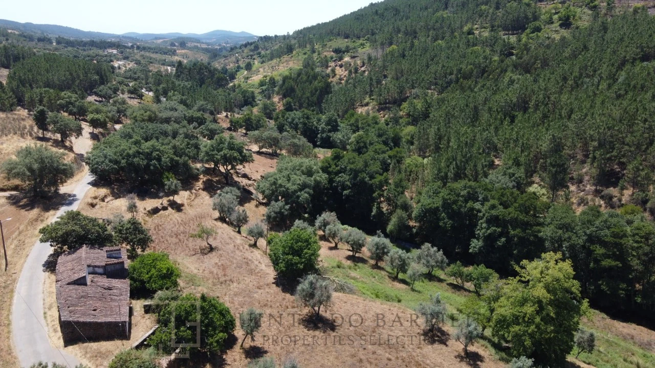 Quinta T5 para Venda em Alegrete Foto 12