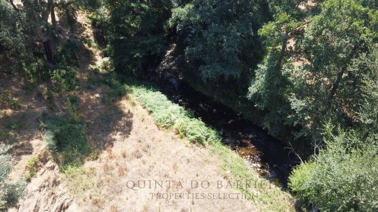 Quinta T5 para Venda em Alegrete Foto 14