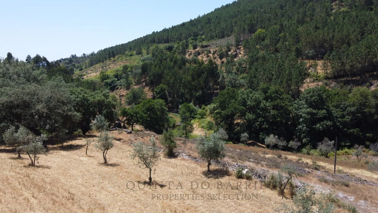 Quinta T5 para Venda em Alegrete Foto 15