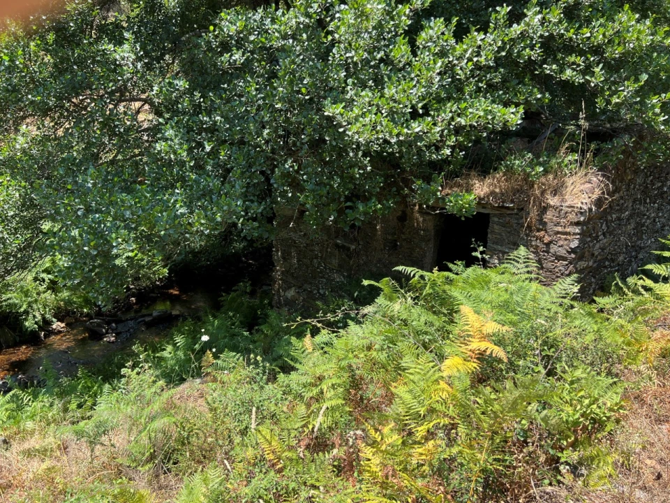 Quinta T5 para Venda em Alegrete Foto 21