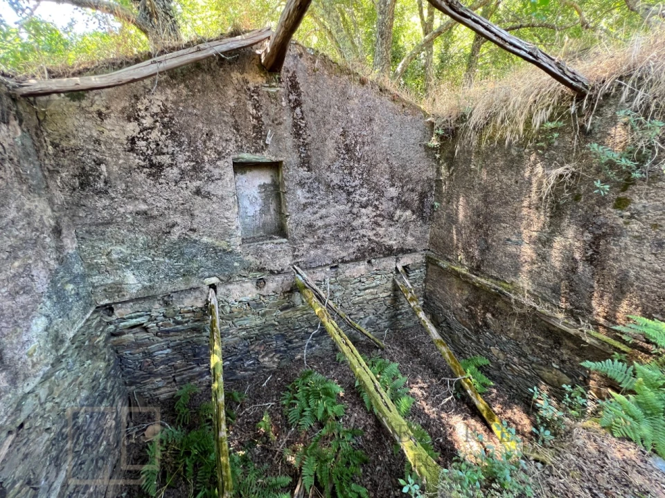 Quinta T5 para Venda em Alegrete Foto 22