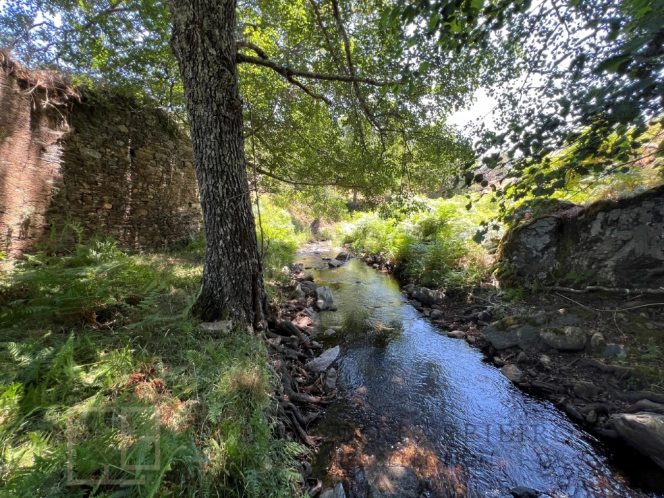 Quinta T5 para Venda em Alegrete Foto 34