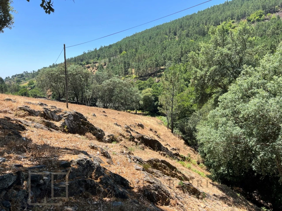 Quinta T5 para Venda em Alegrete Foto 40