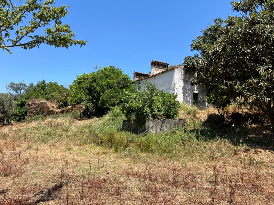 Quinta T5 para Venda em Alegrete Foto 41