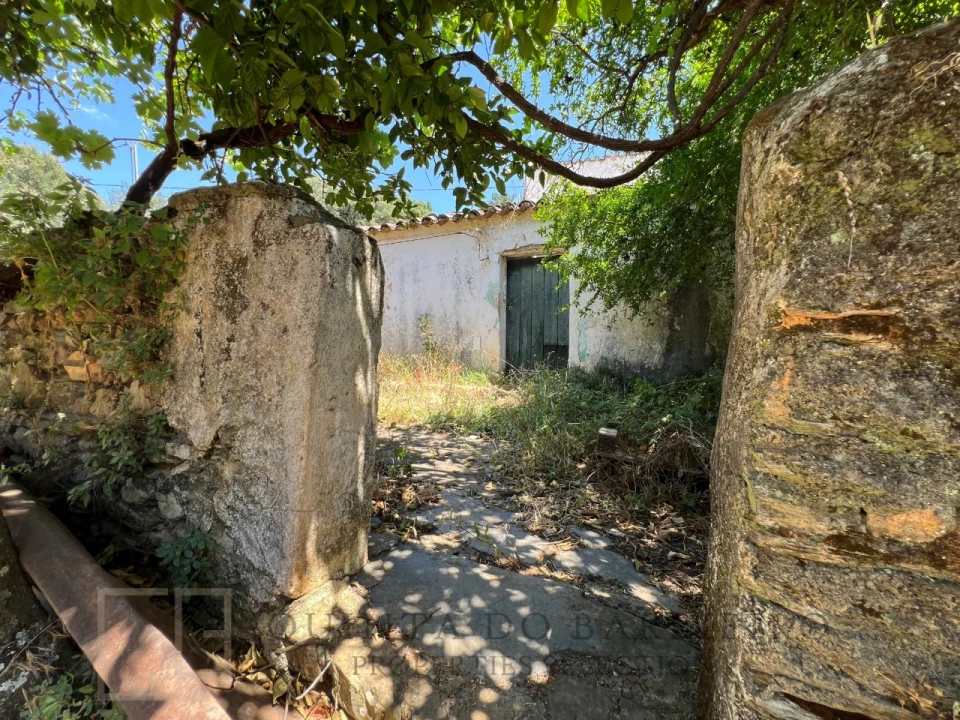 Quinta T5 para Venda em Alegrete Foto 44