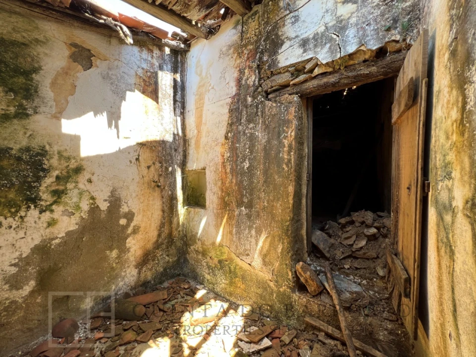 Quinta T5 para Venda em Alegrete Foto 47