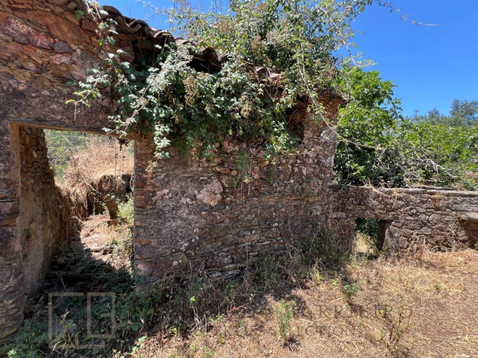 Quinta T5 para Venda em Alegrete Foto 51