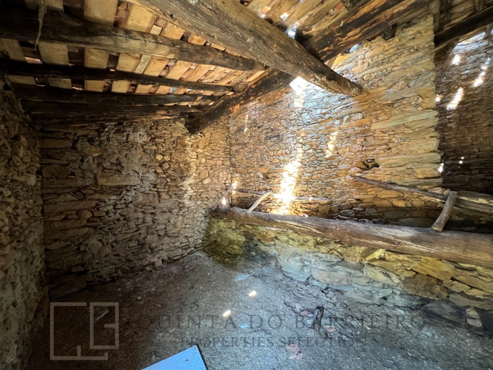 Quinta T5 para Venda em Alegrete Foto 52