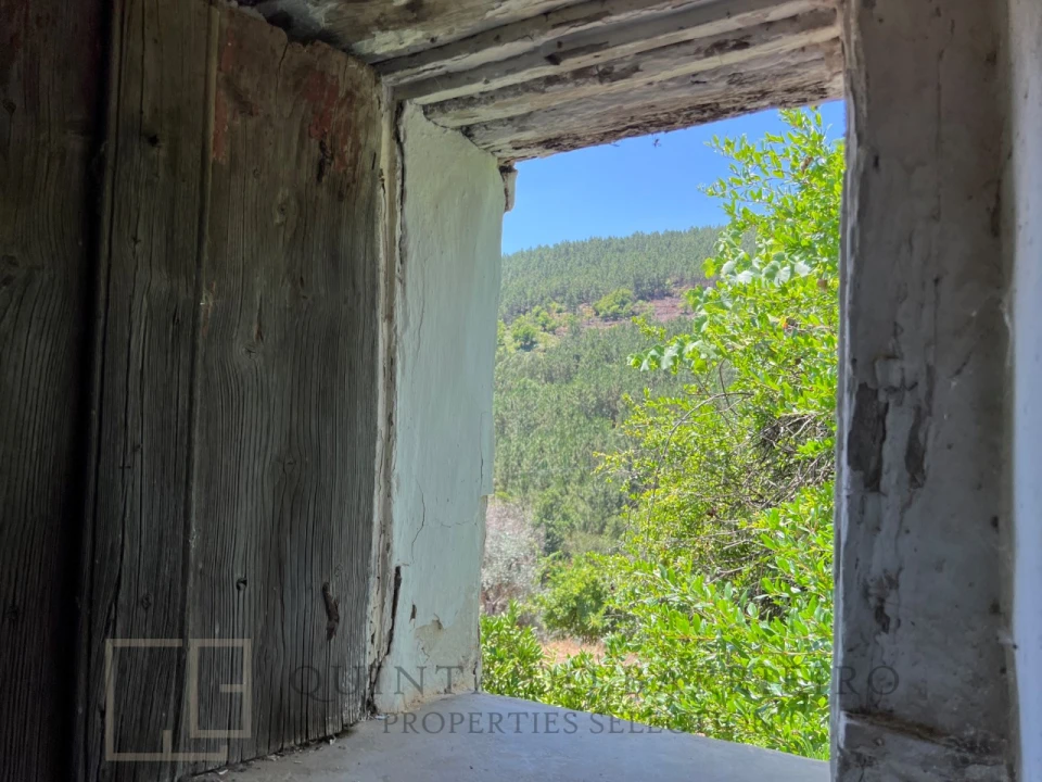 Quinta T5 para Venda em Alegrete Foto 59