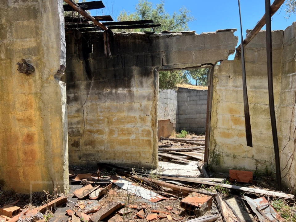 Quinta T5 para Venda em Alegrete Foto 60