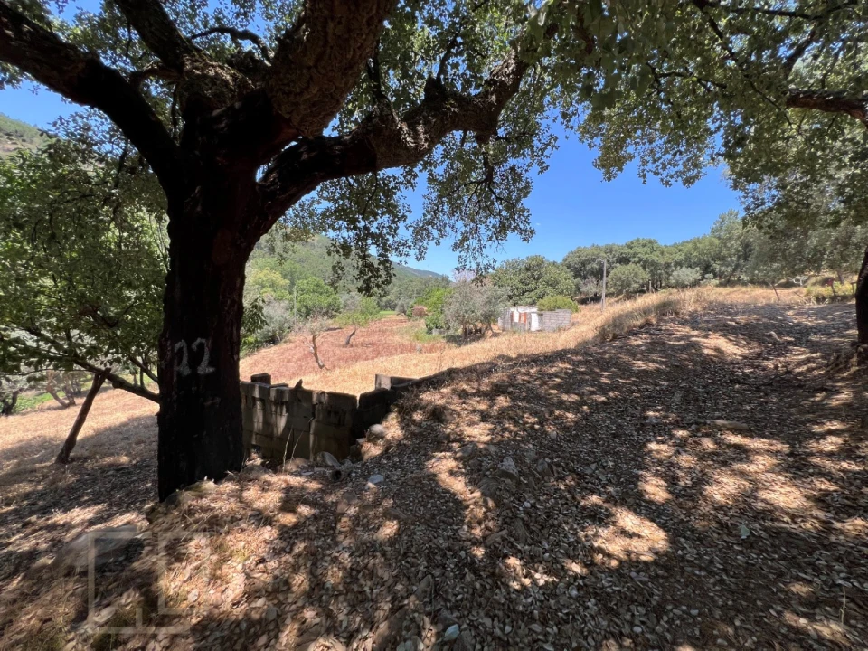 Quinta T5 para Venda em Alegrete Foto 62