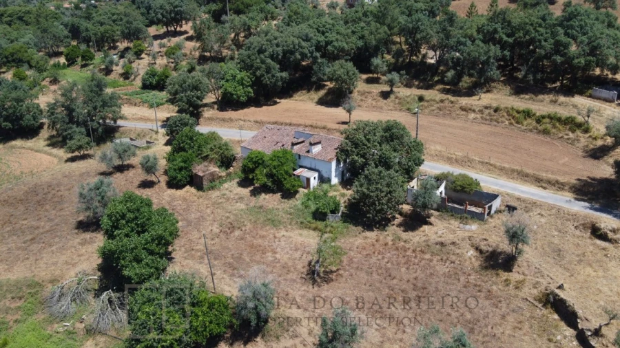 Quinta T5 para Venda em Alegrete Foto 6