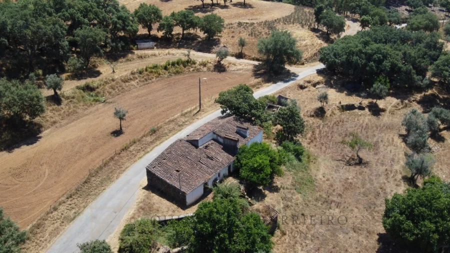 Quinta T5 para Venda em Alegrete Foto 9