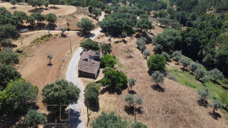 Quinta T5 para Venda em Alegrete Foto 11