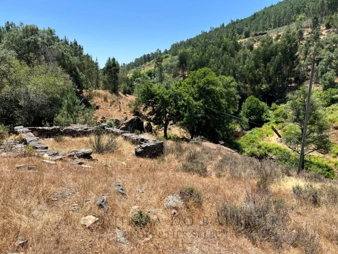 Quinta T5 para Venda em Alegrete Foto 16