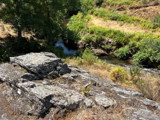 Quinta T5 para Venda em Alegrete Foto 17