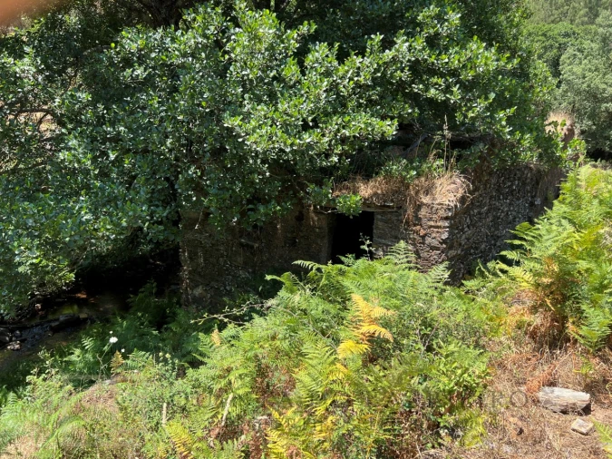 Quinta T5 para Venda em Alegrete Foto 19