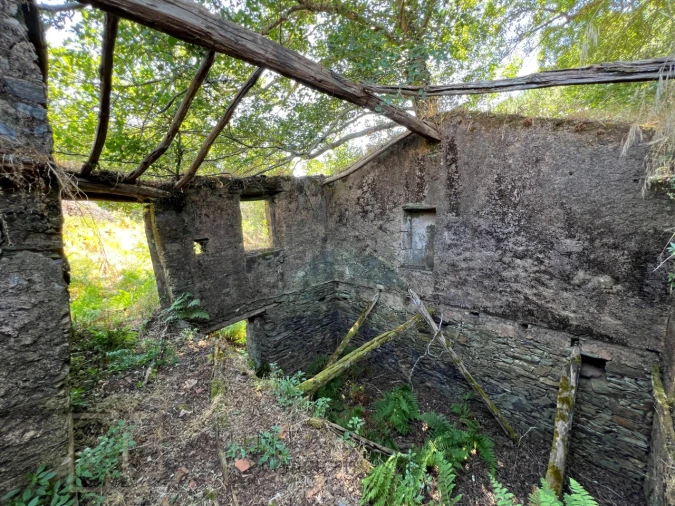 Quinta T5 para Venda em Alegrete Foto 23