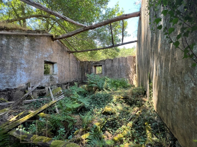 Quinta T5 para Venda em Alegrete Foto 26