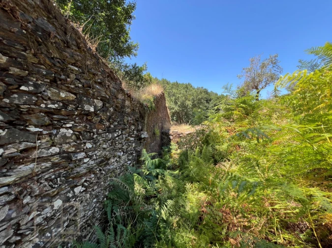 Quinta T5 para Venda em Alegrete Foto 30