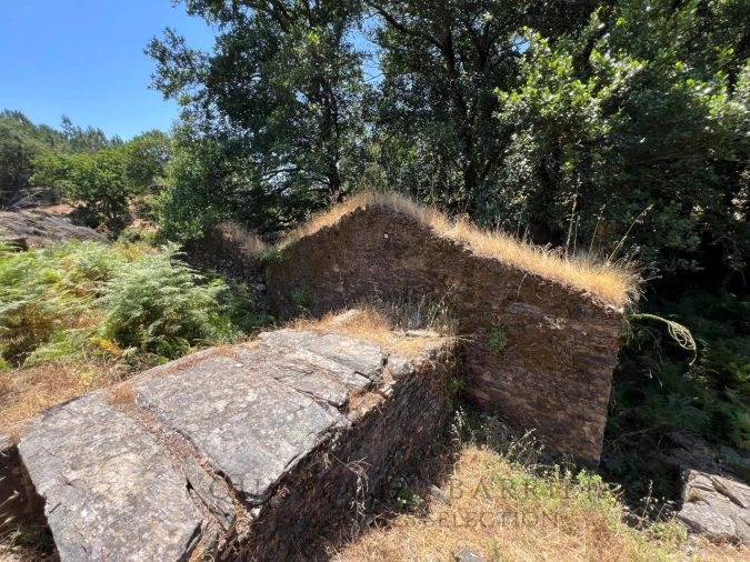 Quinta T5 para Venda em Alegrete Foto 31