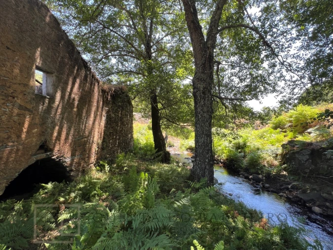 Quinta T5 para Venda em Alegrete Foto 32