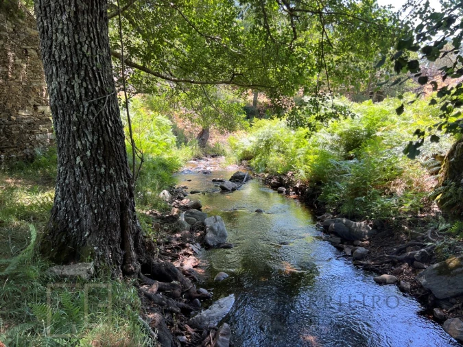 Quinta T5 para Venda em Alegrete Foto 33