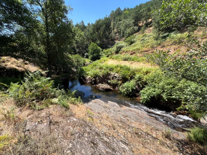 Quinta T5 para Venda em Alegrete Foto 35