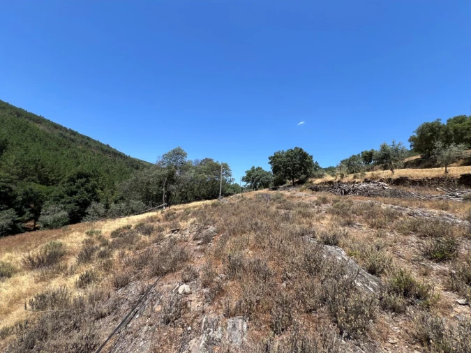 Quinta T5 para Venda em Alegrete Foto 37