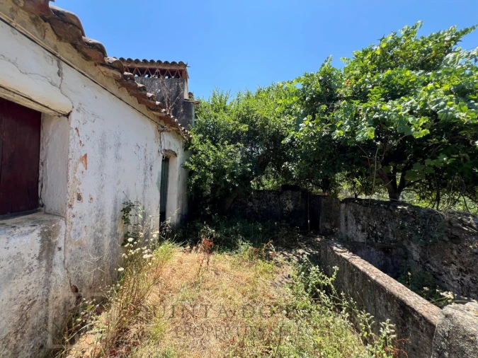 Quinta T5 para Venda em Alegrete Foto 55