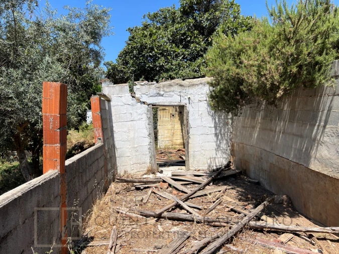 Quinta T5 para Venda em Alegrete Foto 61