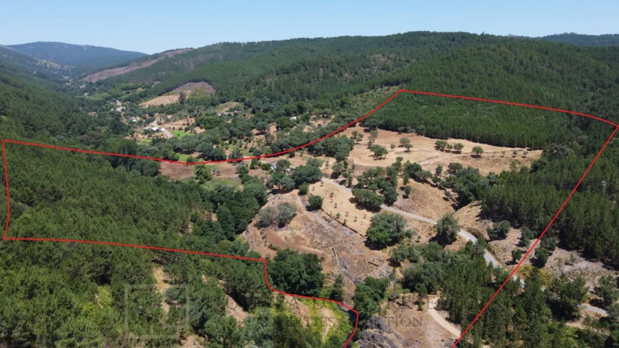 Quinta T5 para Venda em Alegrete Foto 2