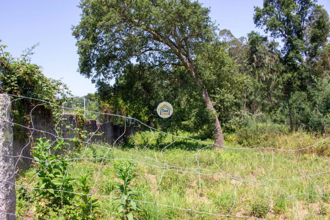 Terreno para Venda em Grijó e Sermonde Foto 1