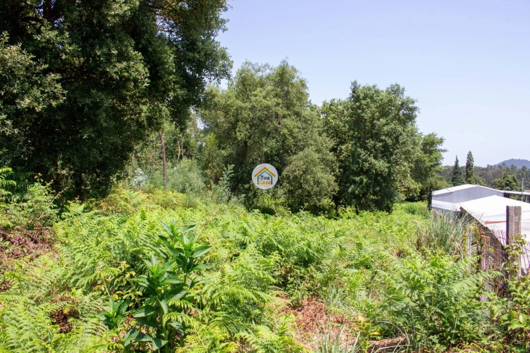 Terreno para Venda em Grijó e Sermonde Foto 2