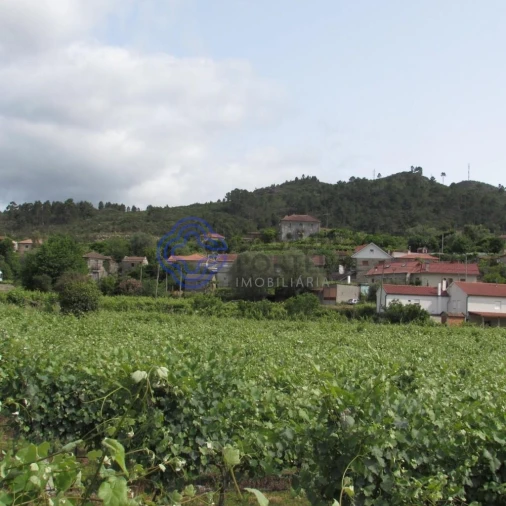 Quinta T4 para Venda em Tangil Foto 5