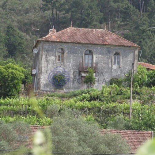 Quinta T4 para Venda em Tangil