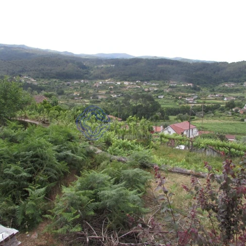 Quinta T4 para Venda em Tangil Foto 8